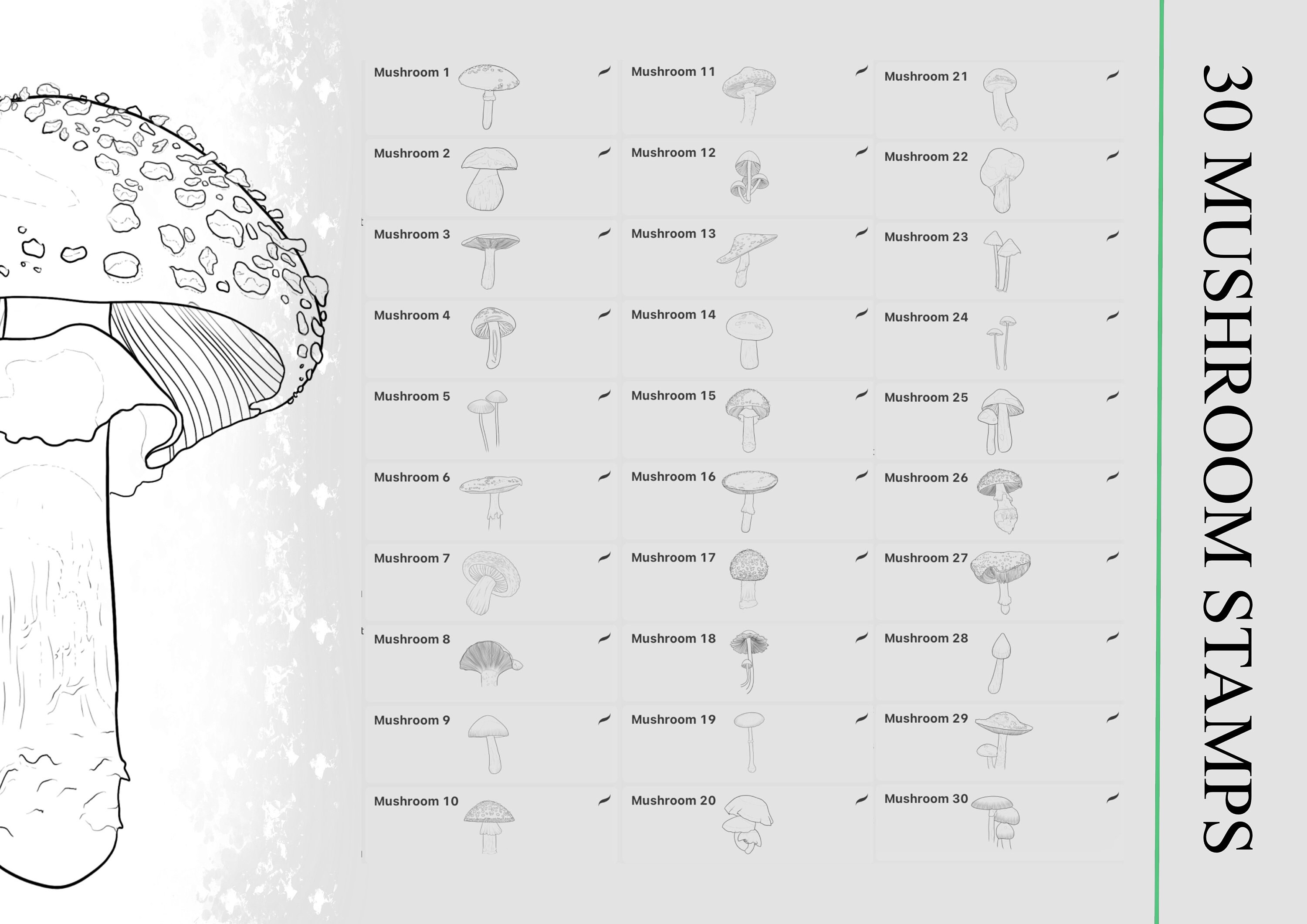 Mushroom Stamps for Procreate - 30 Set Procreate Stamp Collection ...