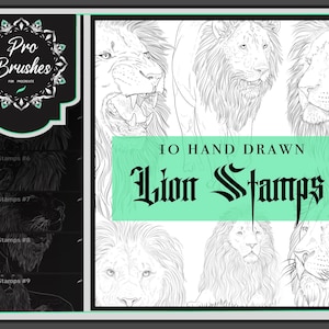 May include: A set of 10 hand-drawn lion stamps for Procreate. The stamps are black and white line drawings of lion heads in various poses. The text "IO HAND DRAWN Lion Stamps" is displayed in a green box.