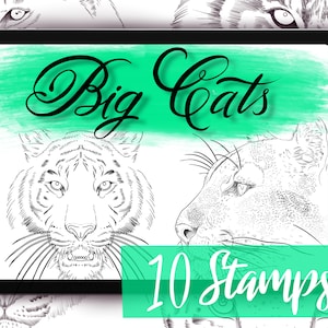 May include: A digital illustration of 10 different big cat faces, including a tiger, lion, and leopard. The image is on a green background with the text "Big Cats" and "10 Stamps!"