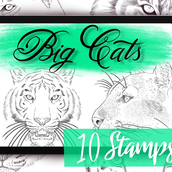 Big Cat Procreate Stamps - 10 подробных кистей procreate - татуировки льва, татуировки леопарда, татуировки тигра, татуировки bobcat и многое другое!