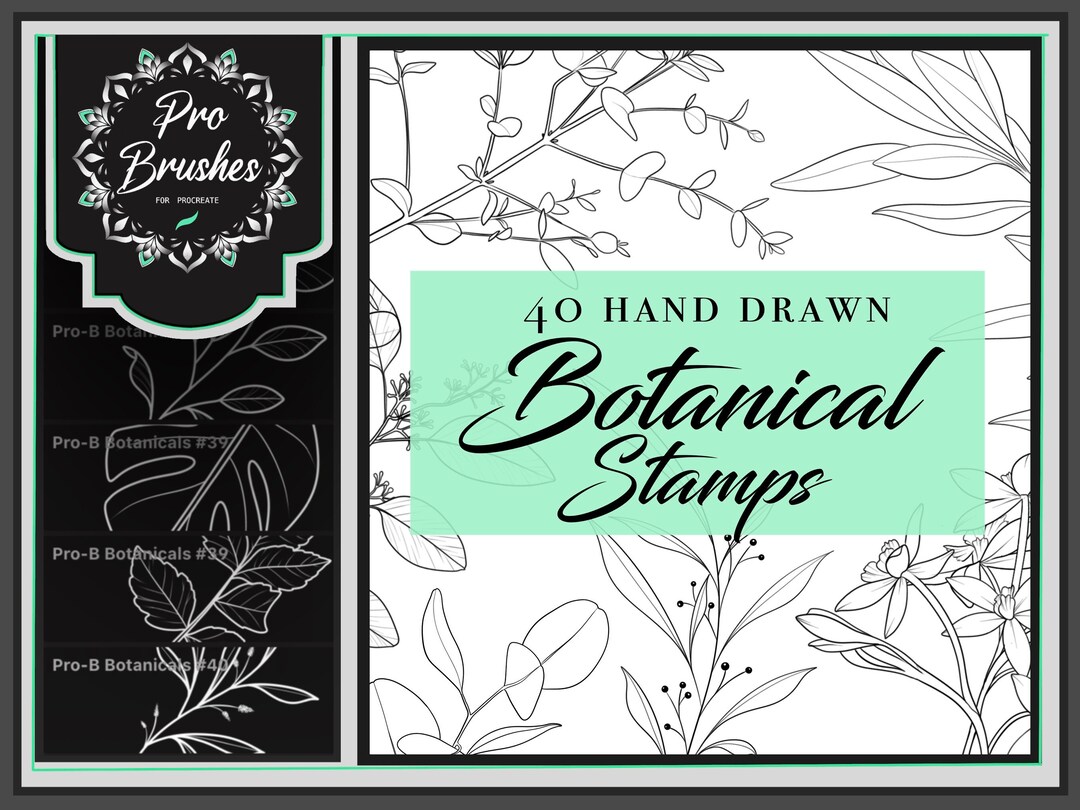 Procreate Botanical Stamps for Tattoo Artists: 40 Exquisite Plant ...