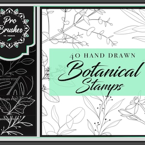 Procreate Botanical Stamps for Tattoo Artists: 40 Exquisite Plant Tattoo Designs - Procreate Brushes/Stamps for Nature-inspired Tattoo Art