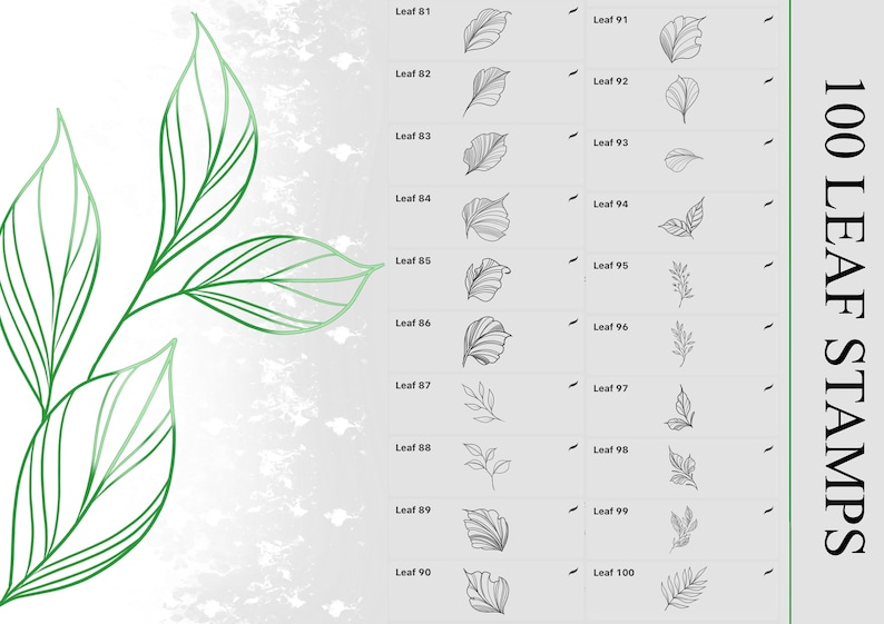 Leaf Stamps for Procreate Procreate Brushes Leaves Etsy