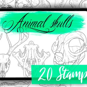 Animal Skulls Stamps - Animal Skull Brush Set with 20 Stamps! - Skull Brushes for Procreate with Tiger Skull Stamp, Bird Skull Stamps & More