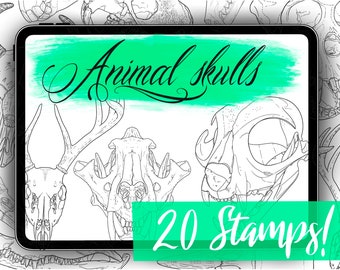 Animal Skulls Stamps - Animal Skull Brush Set with 20 Stamps! - Skull Brushes for Procreate with Tiger Skull Stamp, Bird Skull Stamps & More