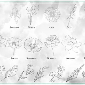 May include: A black and white line drawing illustration of flowers representing each month of the year. January: carnation, February: iris, March: daffodil, April: daisy, May: lily of the valley, June: rose, July: water lily, August: poppy, September: poppy, October: marigold, November: daffodil, December: holly.
