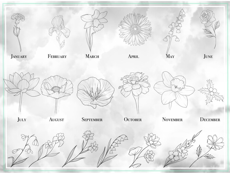 Birth Flower Designs - Procreate Birth Flower Brushes - 50+ Birth ...