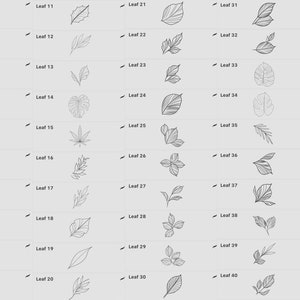 Leaf Stamps for Procreate - Procreate Brushes Leaves Collection! 100 ...