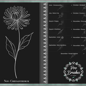 May include: A white line drawing of a chrysanthemum flower with leaves on a black background. The text "Nov-CHRYSANTHEMUM" is below the flower. The image is part of a set of flower drawings for each month of the year.