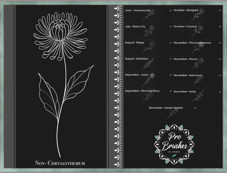 May include: A white line drawing of a chrysanthemum flower with leaves on a black background. The text "Nov-CHRYSANTHEMUM" is below the flower. The image is part of a set of flower drawings for each month of the year.