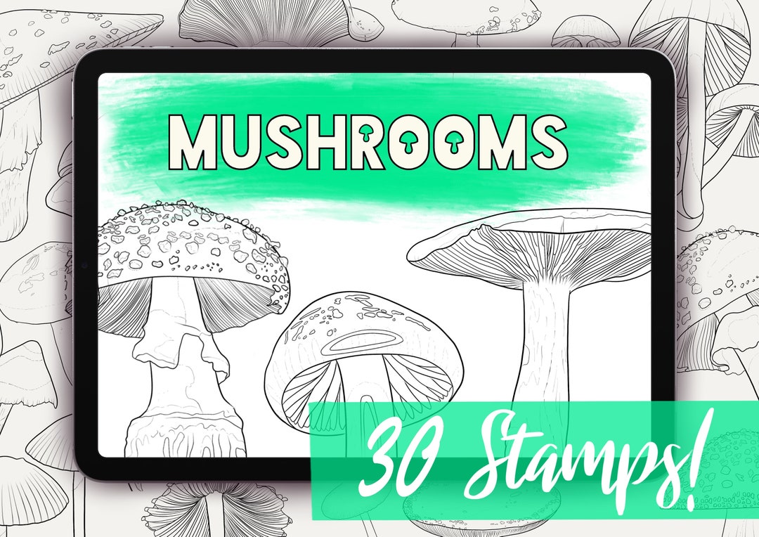 Mushroom Stamps for Procreate - 30 Set Procreate Stamp Collection ...