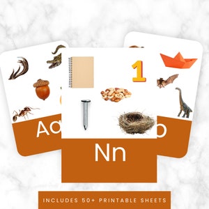 Montessori Inspired Alphabet Posters for Early Readers Phonics Preschool Alphabet  flashcard Alphabet Preschool Homeschool Flashcard