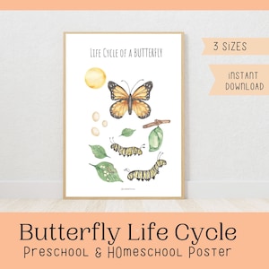 Life Cycle of a Butterfly Poster with Flashcards Butterfly Nature study Science Montessori Poster and flashcards homeschool Nature study