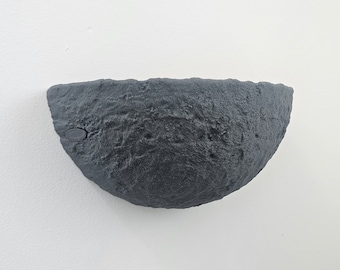 Birds Nest for Swallow