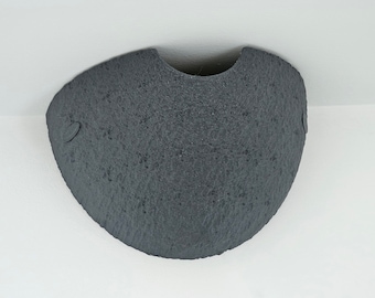 Birds Nest for House Martin