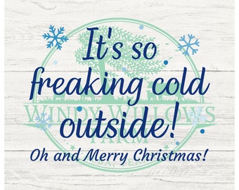 May include: A blue and green sign with a white wooden background. The sign says "It's so freaking cold outside! Oh and Merry Christmas!" with a snowflake design.