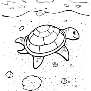 At the Beach 50 Coloring Pages - Etsy
