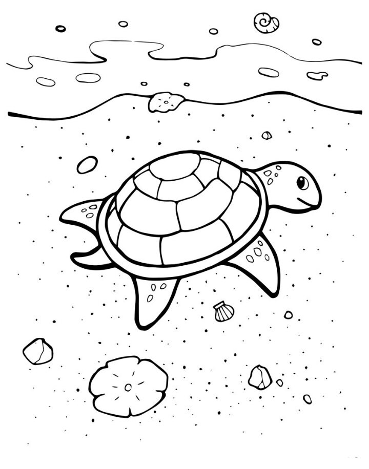 At the Beach 50 Coloring Pages - Etsy