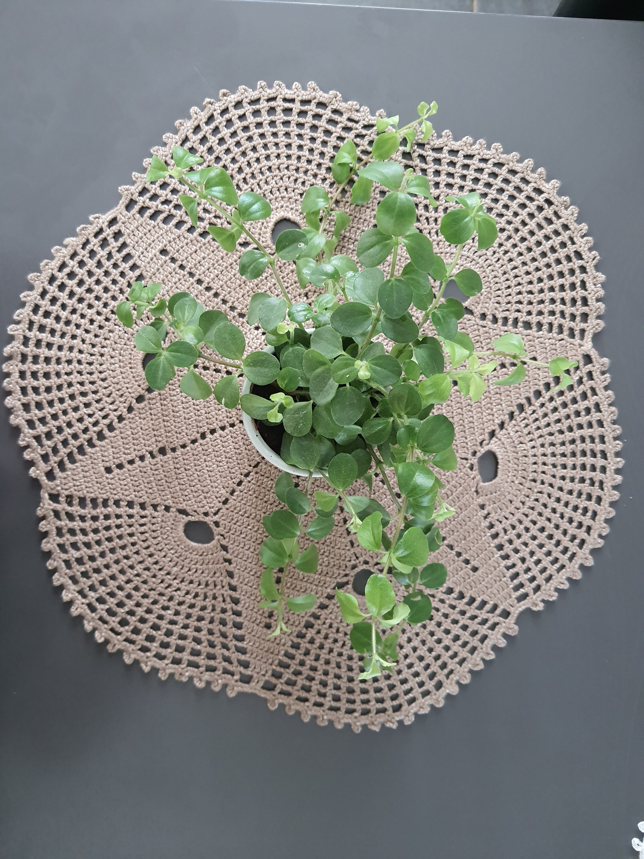 Naperon Réalisé Au Crochet.