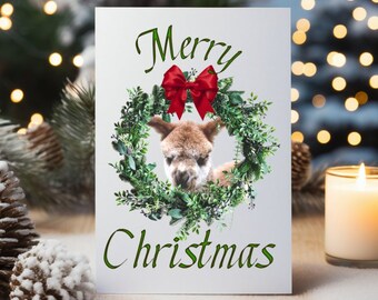 Christmas Animal Greeting cards, Christmas Alpaca Cards, Animal Lover Cards, Alpaca Lover Cards (8, 16, and 24 pcs)