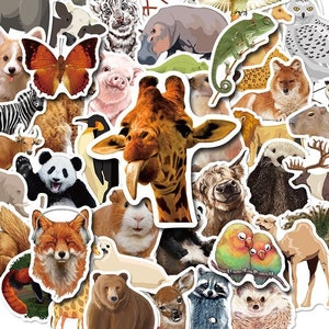 100 Cute Animals Stickers Pack, Funny Zoo Animal Waterproof Vinyl Decal For Laptop Skateboard Phone Guitar Car Bumper Water bottle Kids Gift