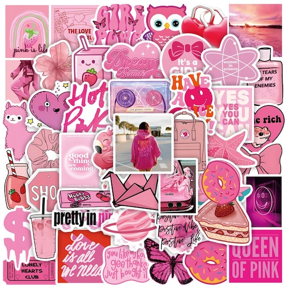 103050 Pcs Pink Girly Sticker Pack Cute Vinyl Stickers for Etsy