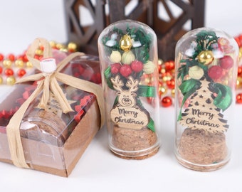 Personalized Christmas Gifts Tube Vial, Custom Christmas Favor, Noel, X-mas, Happy Holiday Coworker Favor, Merry Christmas Dried Flower Gift