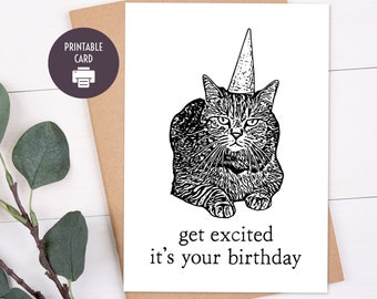 Printable Birthday Card, Funny Cat Birthday for Friend, Mom, Dad, Digital Download 5x7 Greeting Card with Envelope