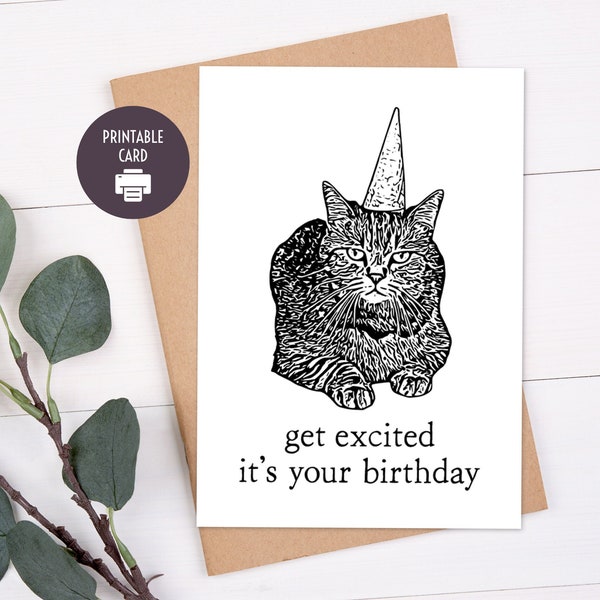 Printable Birthday Card, Funny Cat Birthday for Friend, Mom, Dad, Digital Download 5x7 Greeting Card with Envelope