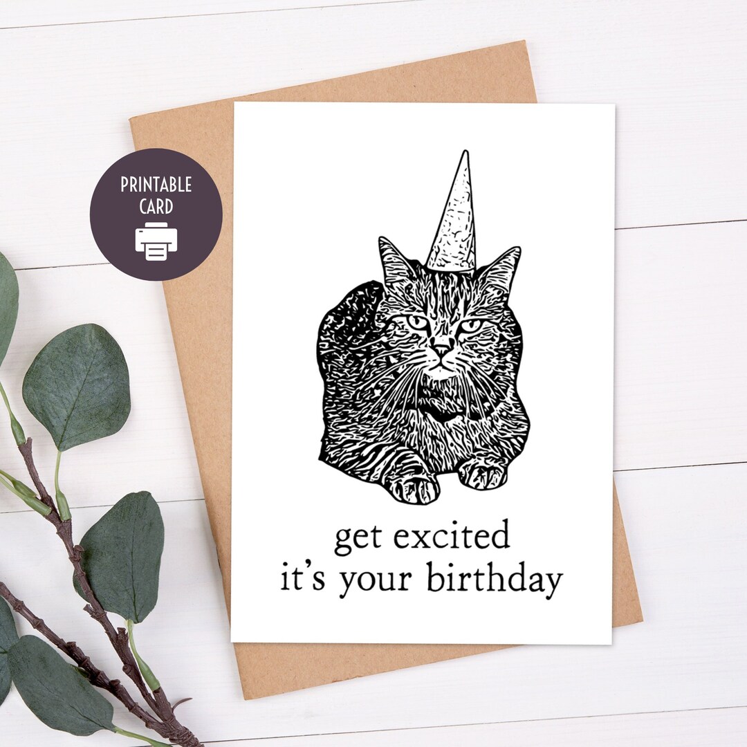 Printable Birthday Card, Funny Cat Birthday for Friend, Mom, Dad ...