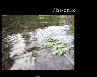 Tela artística: Phoenix Tranquil Stream