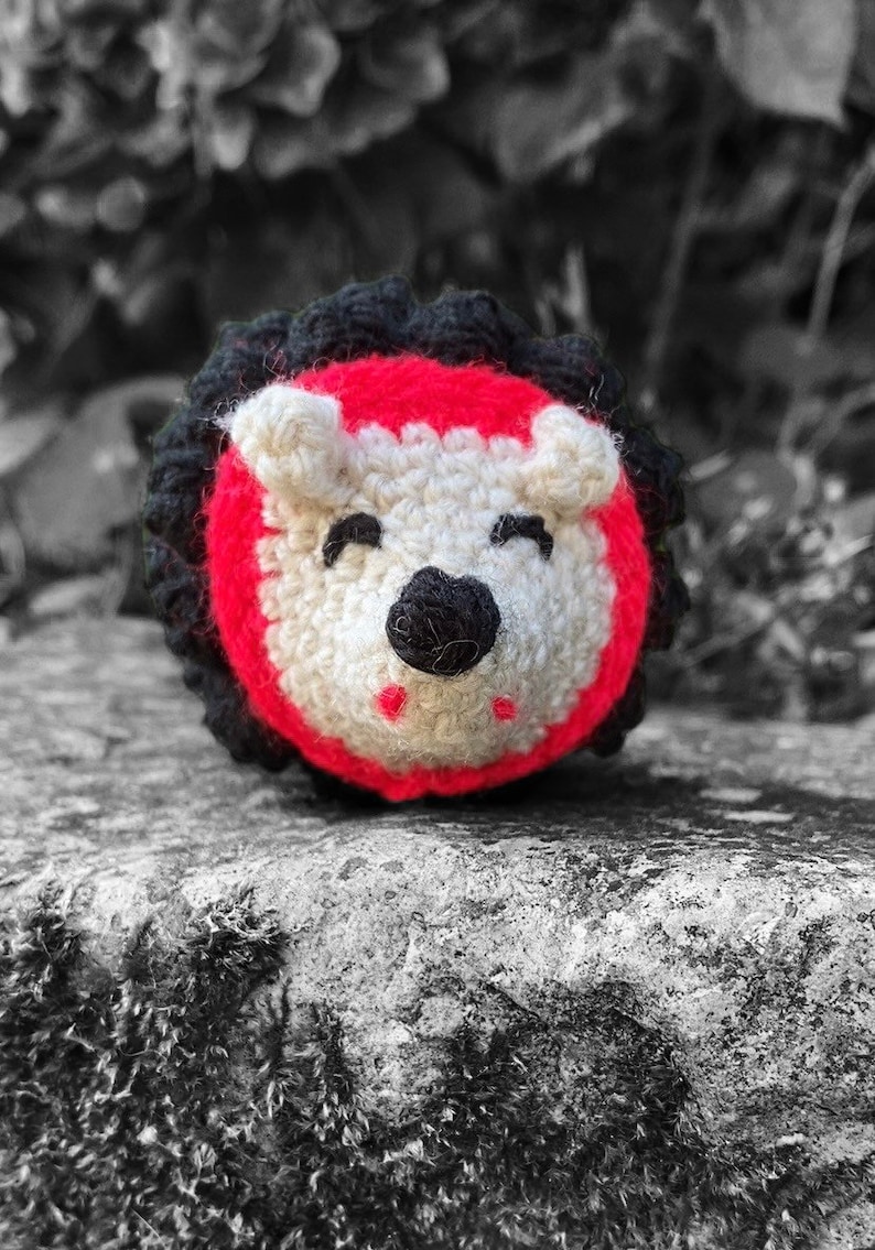 Pu&ograve; includere: Un animal di peluche all'uncinetto a forma di riccio con un viso rosso e bianco e occhi neri. Il riccio &egrave; seduto su una superficie di pietra grigia.