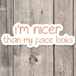 I'm Nicer Than My Face Looks Sarcastic Sticker