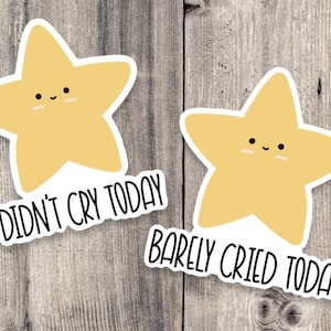Barely cried today, didn’t cry today sticker, gold star, water bottle sticker, mental health, positive quote, funny sticker