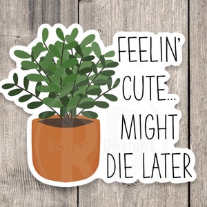 May include: A sticker with a potted plant and the text "Feelin' Cute... Might Die Later."