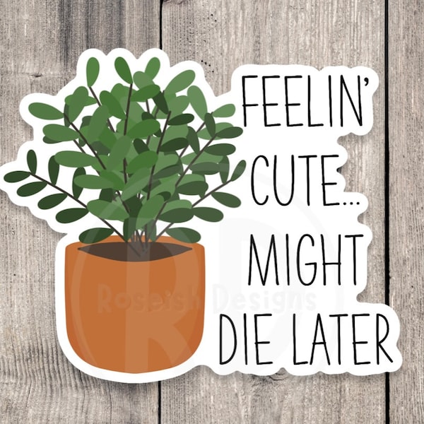 Feelin' cute, might die later, funny plant sayings, plant mom gift, water bottle sticker, houseplant, plant dad, floral