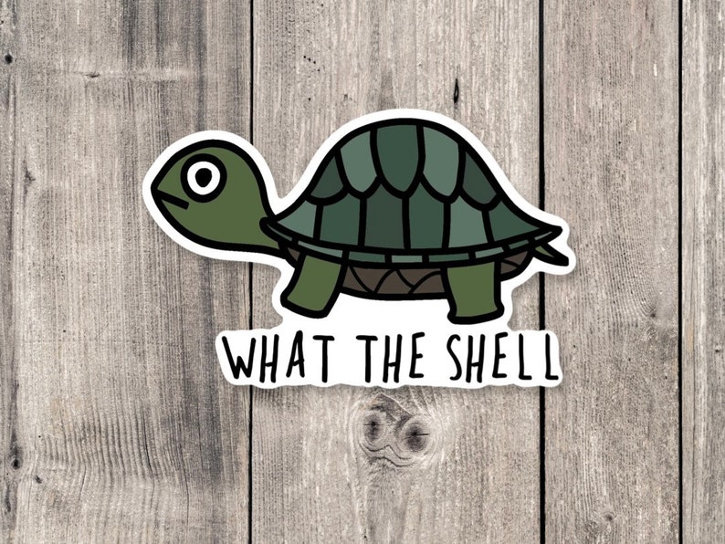 Funny Turtle Sticker: 'What the Shell' Pun, Water Bottle Decal immagine 1