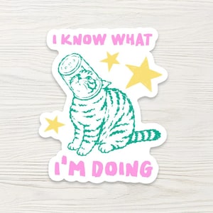 Cat Sticker - I Know What I’m Doing, Funny Sarcastic Laptop Decal