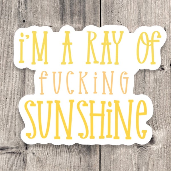 I’m a ray of fucking sunshine sticker, Sarcasm sticker, funny quote stickers, funny sayings, water bottle sticker, laptop, adult sticker