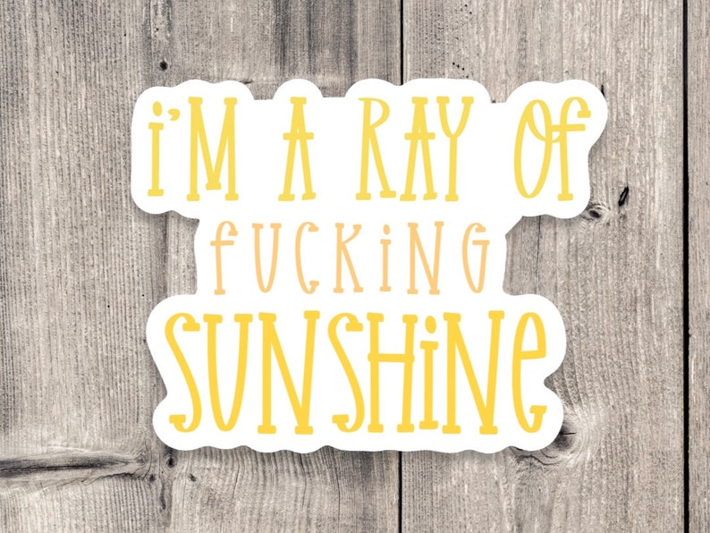 Ray of Sunshine Sarcasm Sticker - Funny Quote Vinyl Decal afbeelding 1