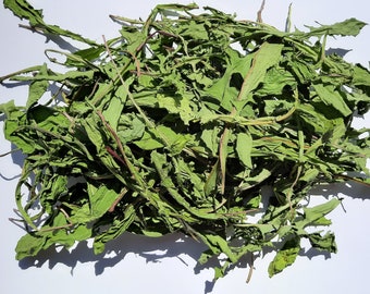 Feuilles de pissenlit séchées 1 OZ - Feuilles de dendelion sauvage - Pissenlits - Plante Taraxacum