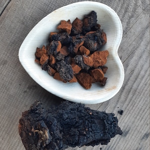 Pedaços de cogumelo Chaga com tamanho aproximado de 1 polegada, peso 2 onças, Inonotus obliquus, chá chaga de bétula, fungo chaga selvagem