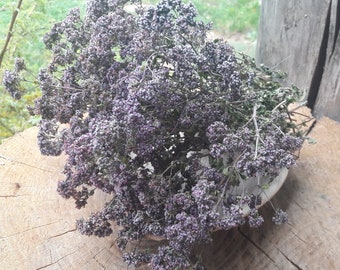 Dried oregano flowers culinary herb - Wild oregano - Oregano spices - Origanum vulgare - Spices