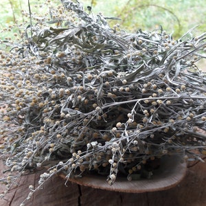 Dried Artemisia Wormwood herb 1 oz, Artemisia absinthium