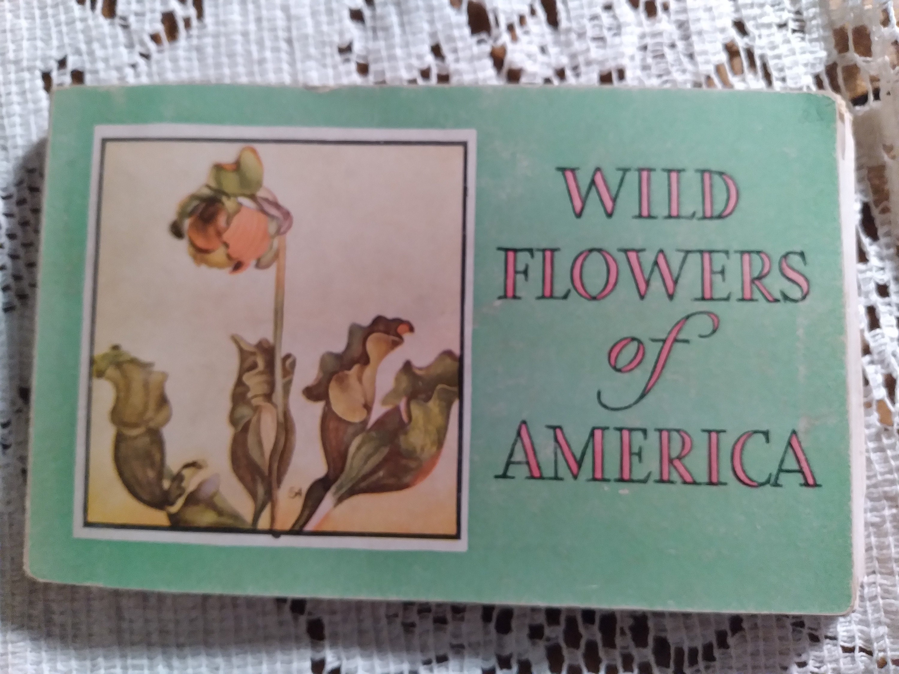 1932 Wild Flowers of America, Illustrated, Jane Harvey, Ephemera