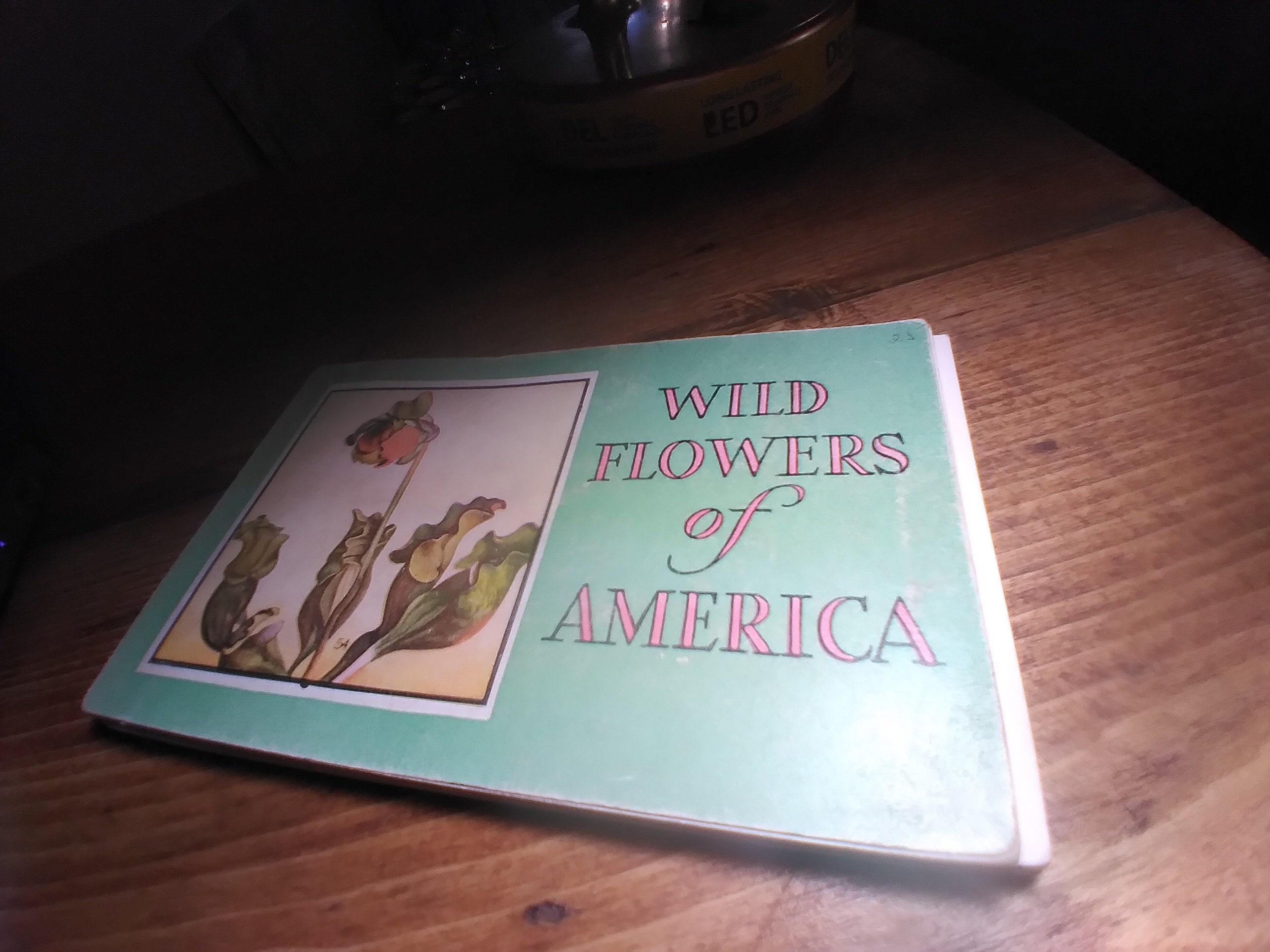 1932 Wild Flowers of America, Illustrated, Jane Harvey, Ephemera