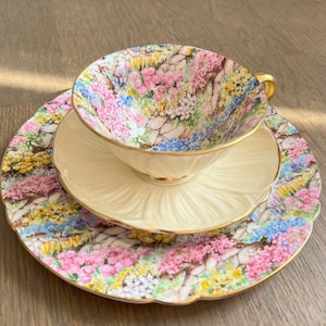 Vintage SHELLEY England Fine Bone China Oleander Tea Cup & Saucer Trio Set Lunch Dessert Plate Chintz Rock Garden Flower Yellow