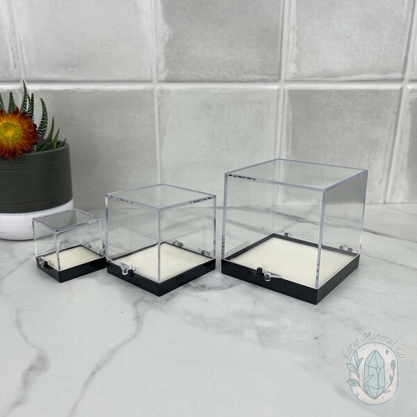 Clear Perky Specimen Boxes with Bases and Free Mounting Putty