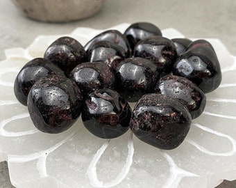 May include: A collection of tumbled black and red garnet stones on a white, flower-shaped dish. The stones are smooth and polished, with a glossy finish.