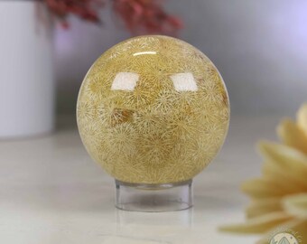 61mm Polished Agatized Coral Jade Sphere